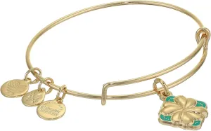 Alex and Ani Color Infusion Bangle Bracelet Gold/Four Leaf Clover One Size, Shiny Gold (A20EBSP03SG)
