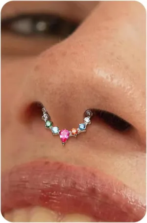 BodyBonita 16G Septum Rings Jewelry - Cubic Zirconia Luxe 316L Stainless Steel Hinged Nose Rings Hoops for Women Conch Piercing Jewelry Tragus Daith Helix Earring 14K Gold Plated/Silver 8 mm/10 mm