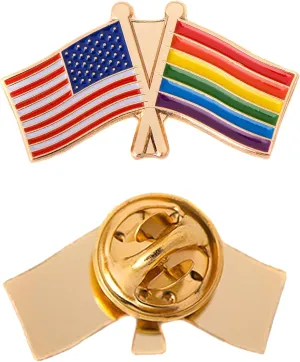Desert Cactus Gay Lapel Pin Enamel with United States USA Souvenir Hat Men Women Patriotic LGBT (Double Flag Pin)
