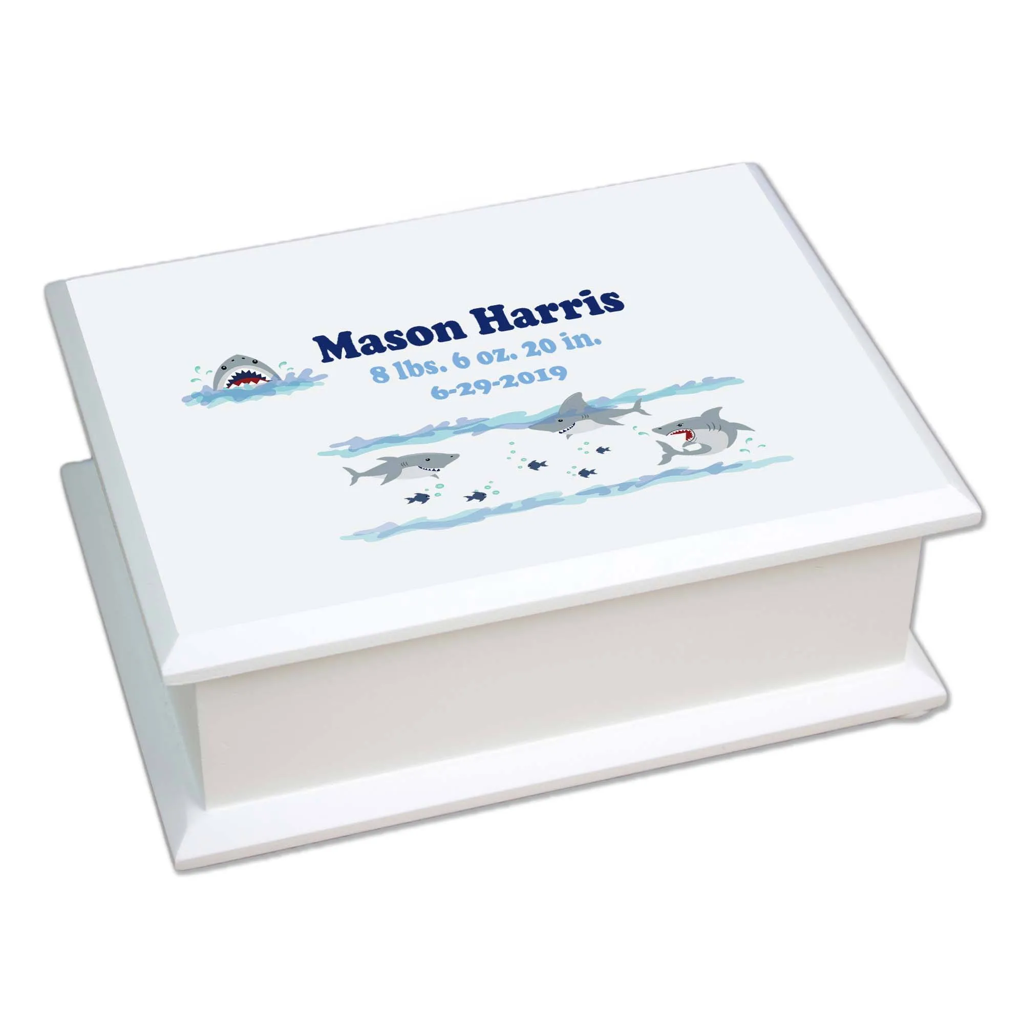 Lift Top Jewelry Box - Shark