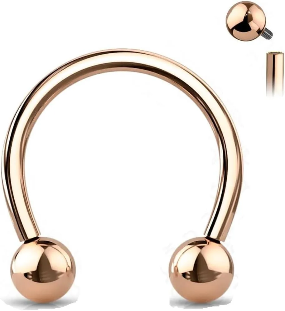 Satix 2PCS Internally Threaded 16G Horseshoe Rings 8mm 11mm G23 Titanium Nose Septum Horseshoe Hoop Earrings Eyebrow Tragus Lip Ring Daith Helix Smily Piercing Jewelry