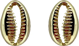 Small Cowrie Sea Shells Gold-plated Sterling Silver Stud Earrings 10mm